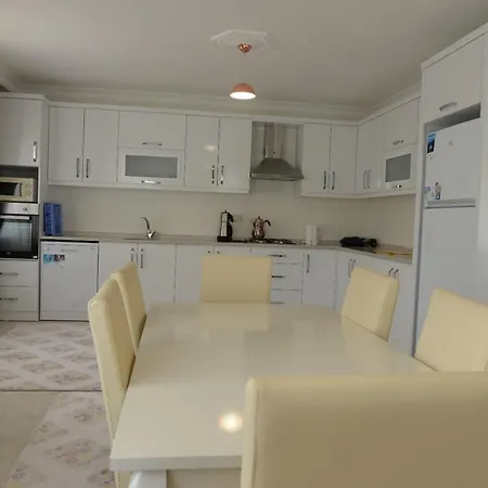 فيلة Panaroma Villalari